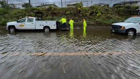 Hawái se prepara para posible emergencia por el paso del huracán Lowell