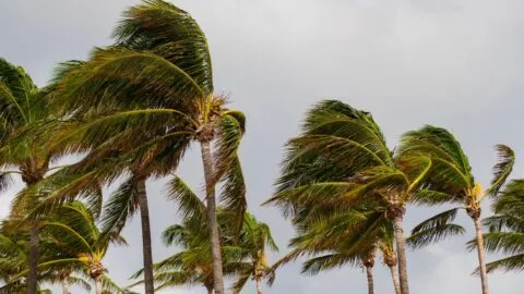 Labor Day sin surf: sur de California en alerta para este fin de semana por fuertes tormentas