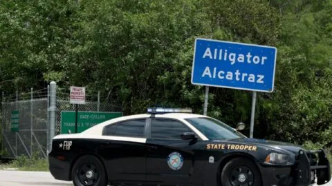 Florida aprueba millones para pagar facturas de "Alligator Alcatraz" y otras deudas migratorias que llegan a 592
