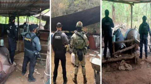 Autoridades desmantelan tres laboratorios de metanfetamina en Guerrero