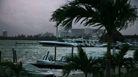 Toma precauciones ante Polo: esto es lo que no debes hacer con lluvias y vientos fuertes