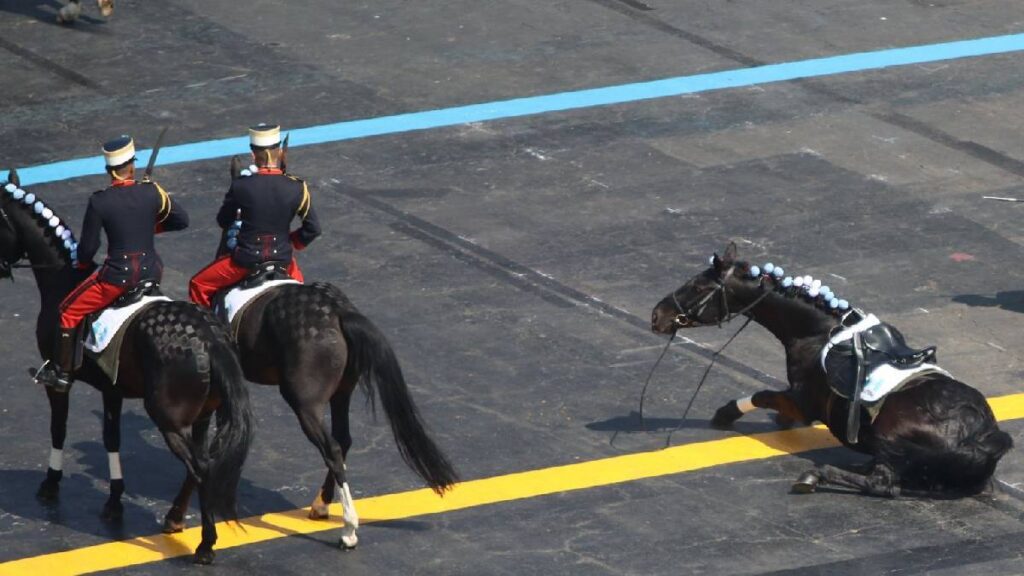 policia-montada-cae-caballo-desfile-cuernavaca-16-septiembre