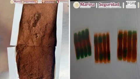 Semar incauta en el AICM una tonelada de cocaína oculta en café