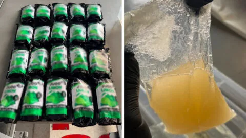 Detectan más de 10 kilos de presunta metanfetamina en Aduana del Aeropuerto de Toluca