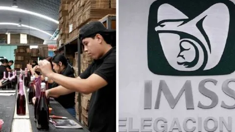 Registros patronales ante el IMSS acumulan dos años de contracción: ¿qué razones hay tras esta caída?