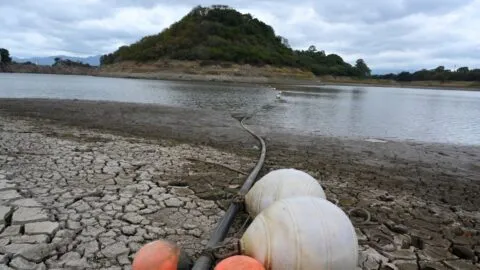 Sequía por El Niño dejará sin suficientes alimentos a 16 millones de personas en América Latina
