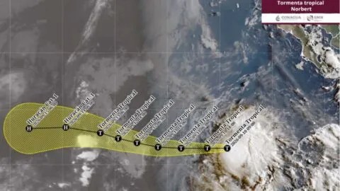 Se forma la tormenta tropical Norbert en el Pacífico; ve ubicación
