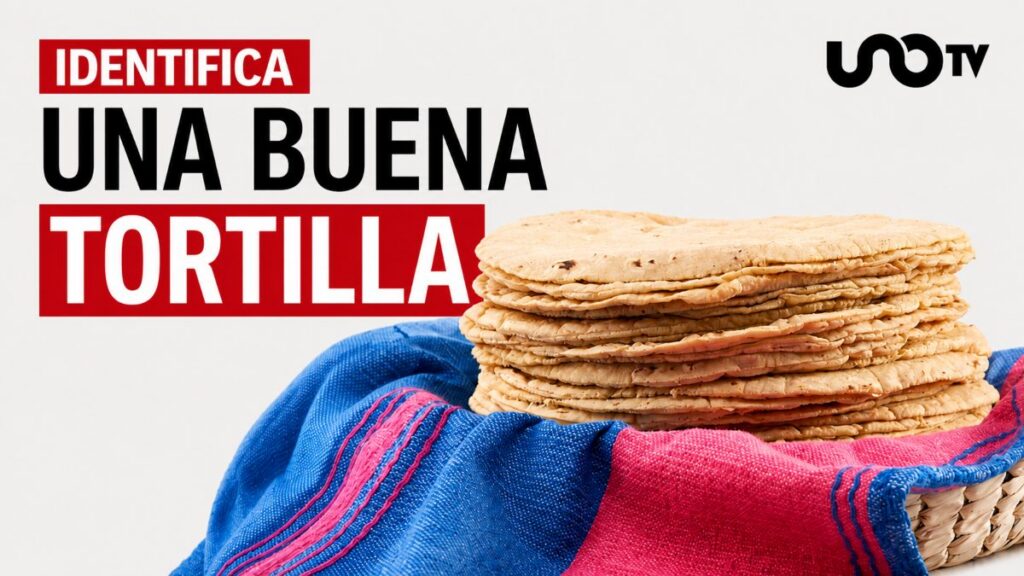 Profeco revela cuál es la mejor tortilla y cómo reconocerla