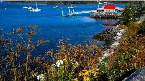 Una isla privada en Maine puede ser tuya por lo que cuesta un apartamento en Nueva York