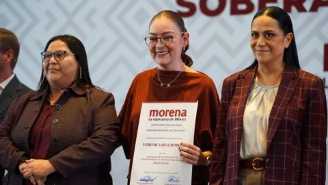 Morena genera controversia por sus coordinadores