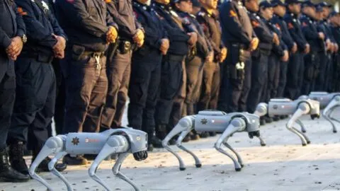 Video: estos perros robot ya patrullan en este estado