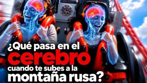 Montañas rusas y cerebro: video revela experiencia extrema de X2 de Six Flags vinculada con daños cerebrales