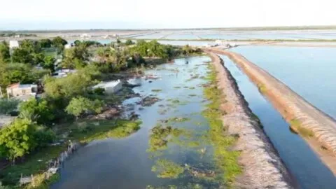 Continúan labores de limpieza tras Polo; presas de Sinaloa alcanzan 52.1% de almacenamiento  