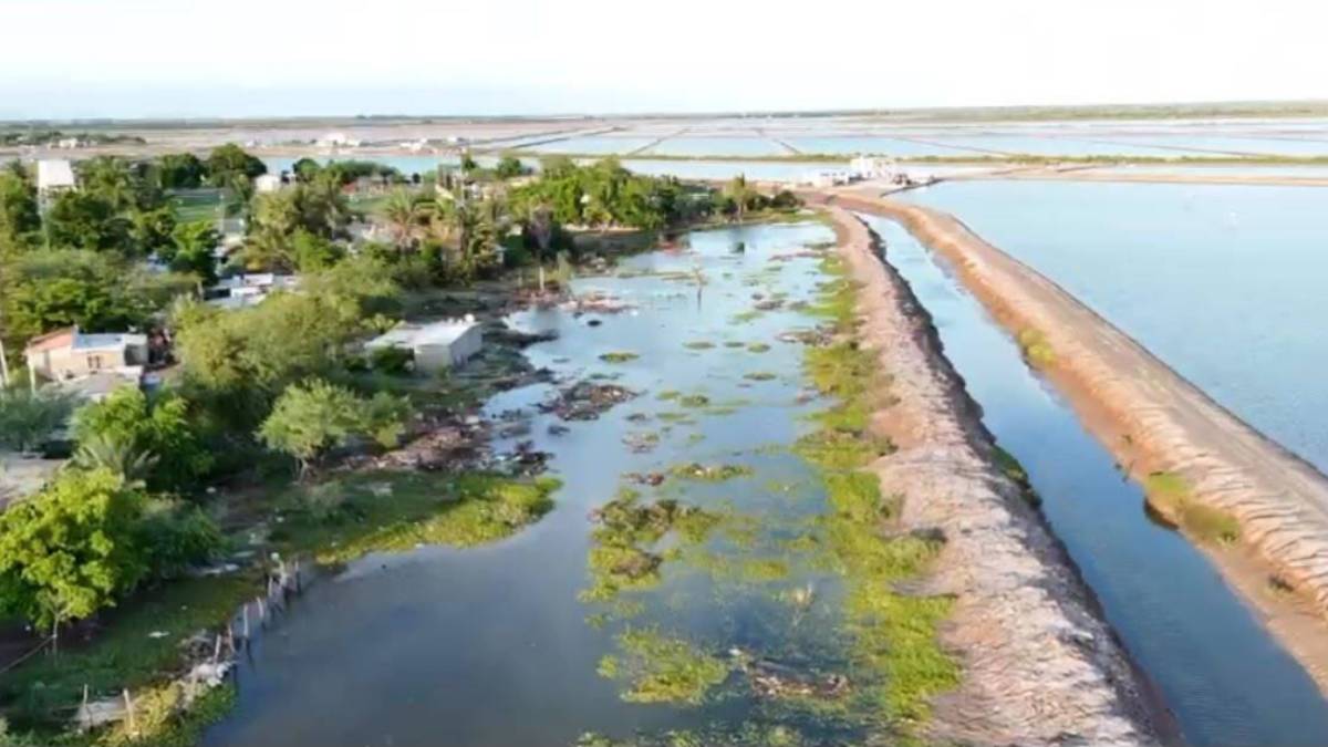 Continúan labores de limpieza tras Polo; presas de Sinaloa alcanzan 52.1% de almacenamiento