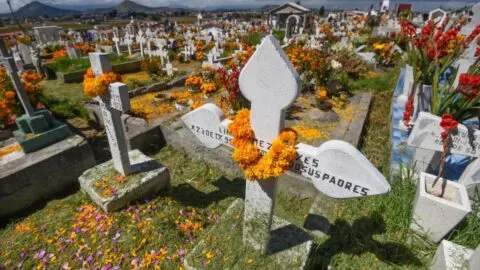 ¿Visitarás un panteón en Día de Muertos en tu estado? Revisa horarios y objetos prohibidos