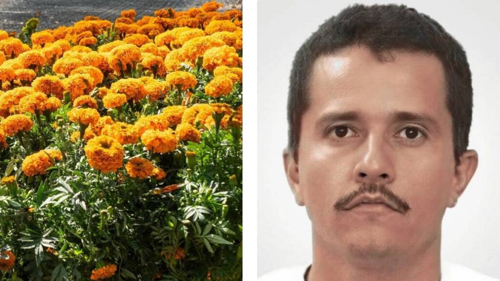 En redes sociales comparten fotos de los adornos que colocaron en la tumba del "Mencho" por el Día de Muertos.
