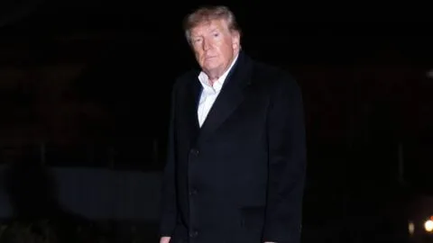 Trump ofrece un millón de dólares por información sobre fraude electoral en EE. UU.