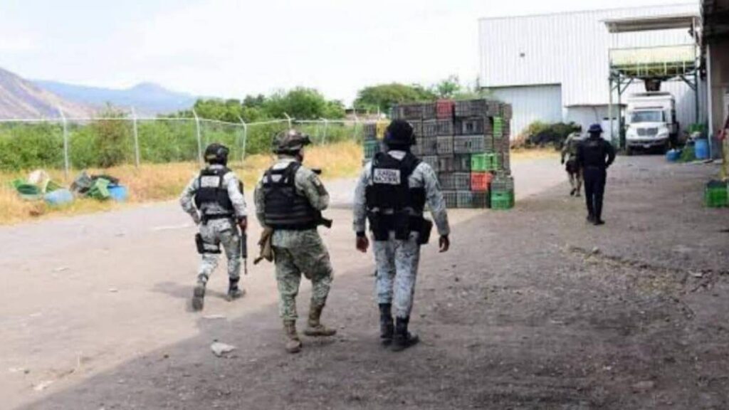 Tres muertos por ataque en empacadora de Michoacán.