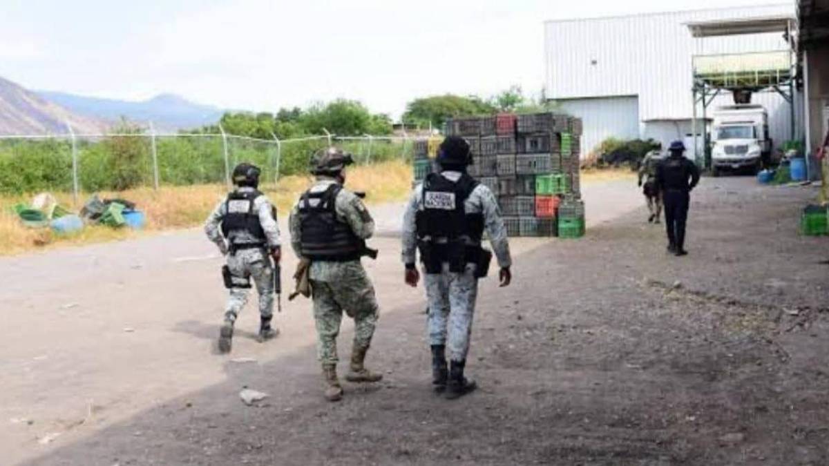 Mueren tres tras ataque en empacadora de aguacate de Michoacán