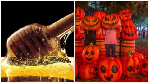 ¿Cómo atraer buena energía en Halloween? La recomendación de la Güera de las Estrellas