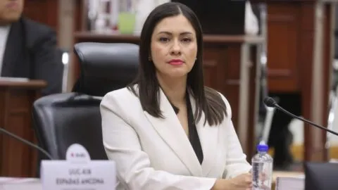 Perfilan a Blanca Cruz García como presidenta provisional del INE tras renuncia de Taddei