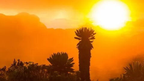 Calor extremo, incendios y sequía: lo que revela el informe climático de California