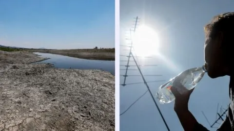 Día contra el Cambio Climático: los estados de México más vulnerables y qué se hace para protegerlos