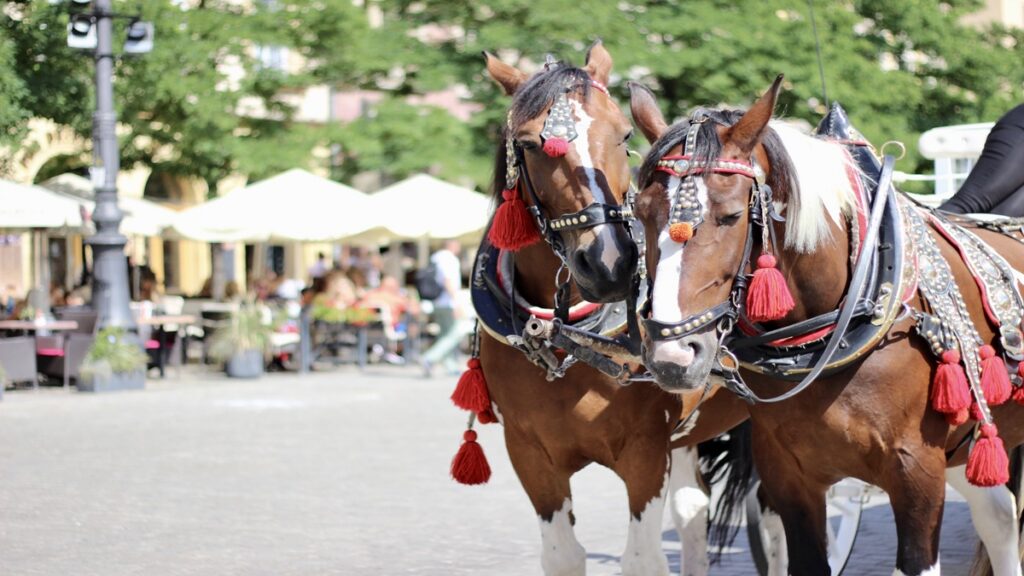 Carruaje con caballos en NY