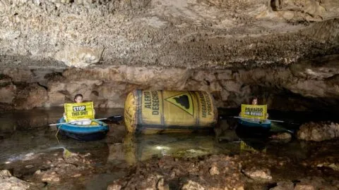 Greenpeace México exige frenar megagranjas porcícolas por contaminación de cenotes en Yucatán
