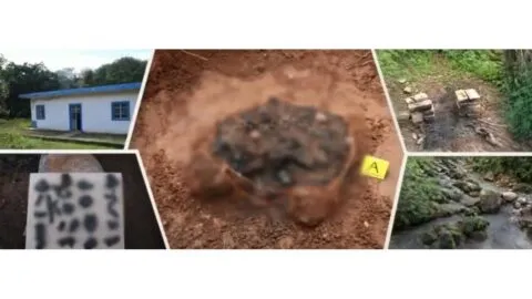 Descubren centro de exterminio y fosa clandestina en Xalisco, Nayarit