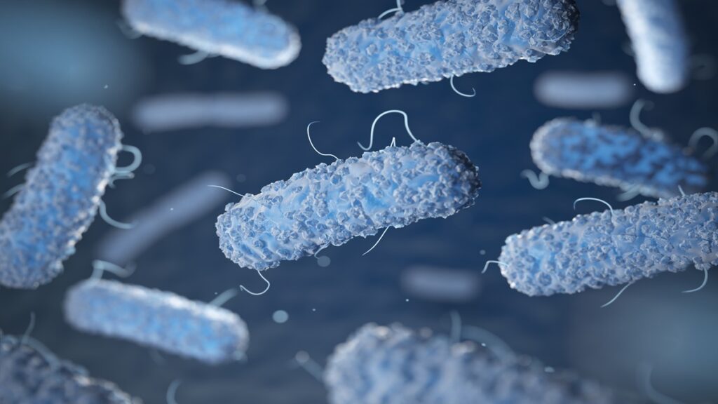 Bacteria de transmisión sexual provoca diarrea