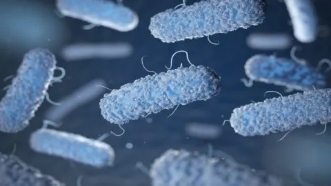 Una bacteria de transmisión sexual preocupa a EE. UU.: ya resiste cinco antibióticos