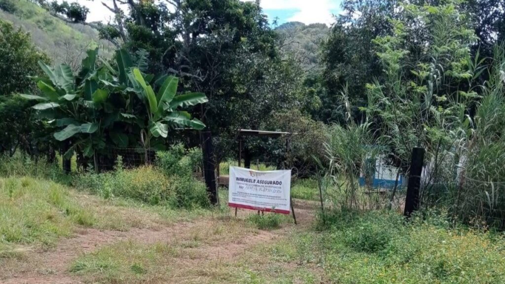 Colectivo confirma hallazgo de restos óseos, prendas y casquillos en predio de Xalisco