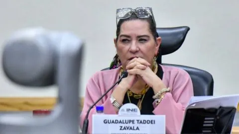 Taddei presenta su renuncia al INE ante la Cámara de Diputados