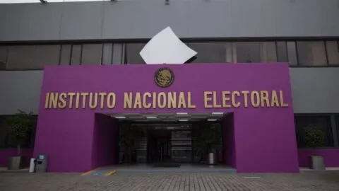 INE bajo la lupa: cuestionan gestión de Guadalupe Taddei