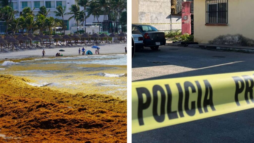 Sargazo e inseguridad amenazan al Caribe mexicano.