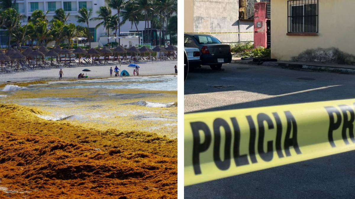 Sargazo, inseguridad y más impuestos: la “tormenta perfecta” que amenaza al Caribe Mexicano