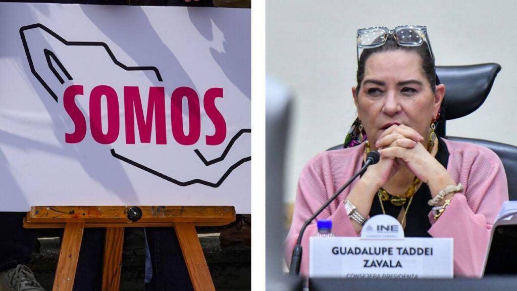 Somos exigen respuestas de Guadalupe Taddei.