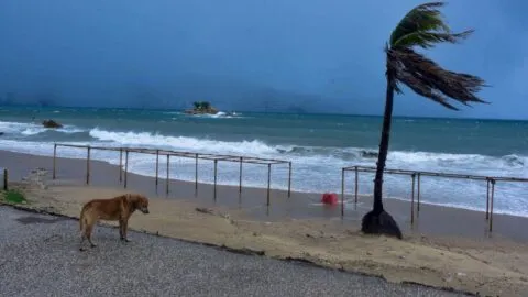 Se forma la depresión tropical Veintidós-E en el Pacífico; pronostican que alcance fuerza de huracán