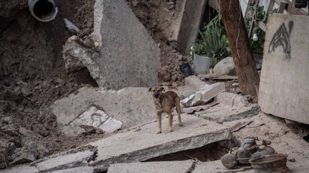 Imágenes difundidas muestran los daños en la construcción tras el derrumbe.