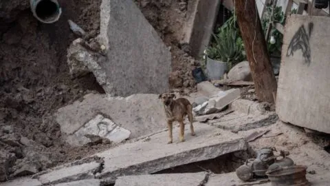 Imágenes: así quedó Ixtlahuaca tras derrumbe de Los Portales; no hay actividades comerciales