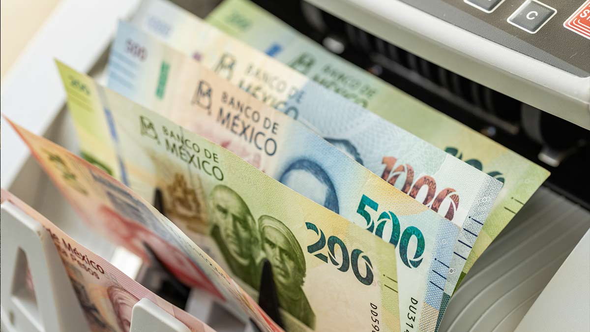 Sector económico califica al Paquete Económico como asfixiante, alerta que genera incertidumbre