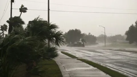 Huracán Isaias: cortes de luz y vientos extremos en Florida y Georgia