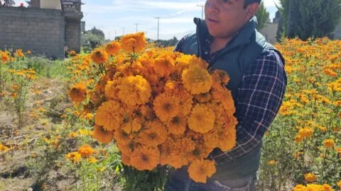 Día de Muertos en Edomex: San Francisco Putla se llena de color naranja