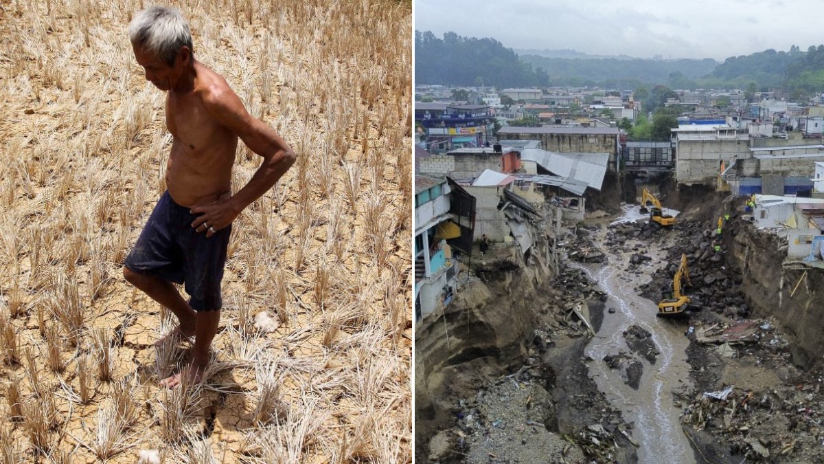 El Niño se intensificará y alcanzará su máximo en diciembre, alerta la ONU
