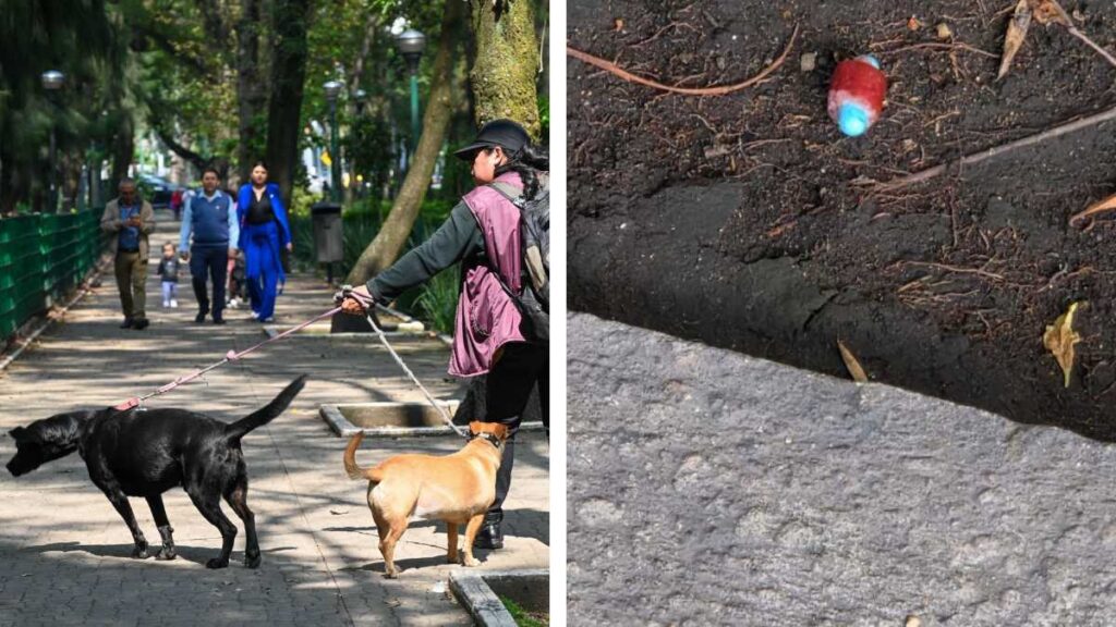 Autoridades identifican sustancia y responsable de envenenamientos en Parque España