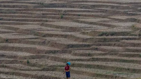 FMI apoyará a países afectados por el El Niño ante escasez de alimento