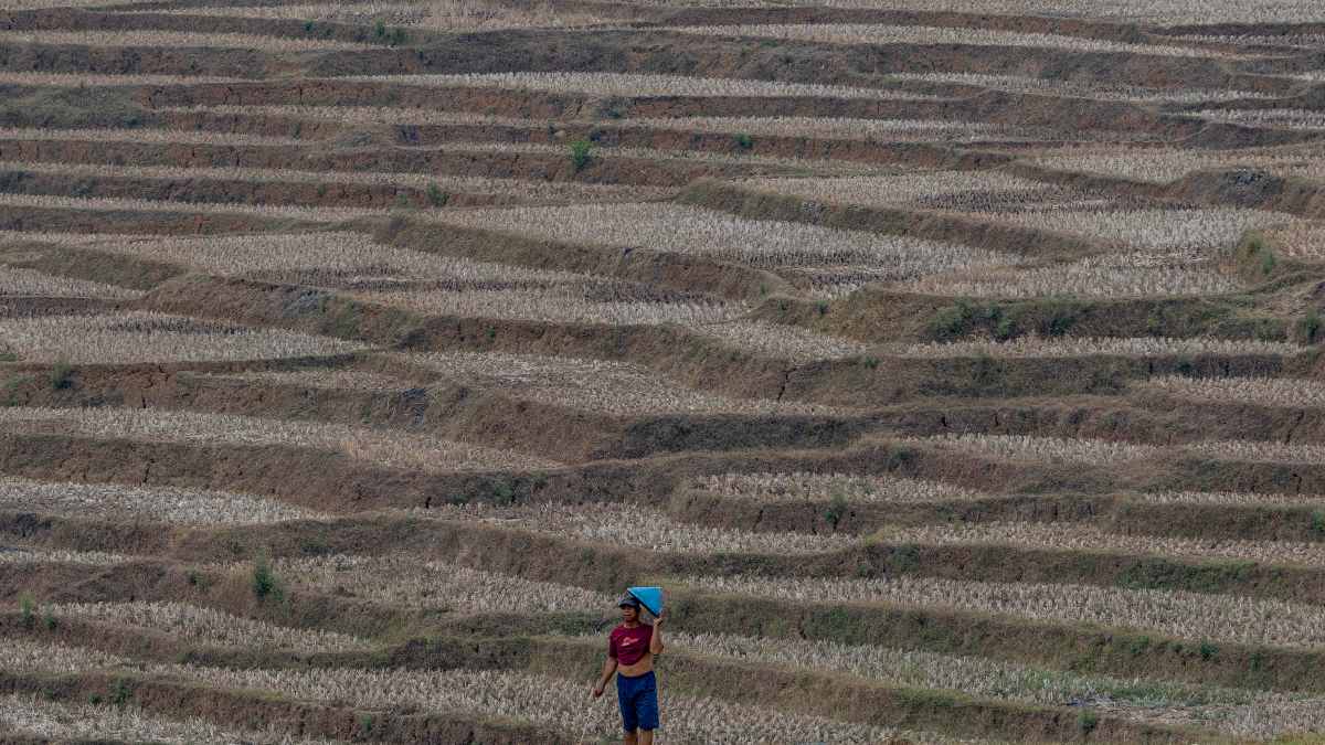 FMI apoyará a países afectados por el El Niño ante escasez de alimento