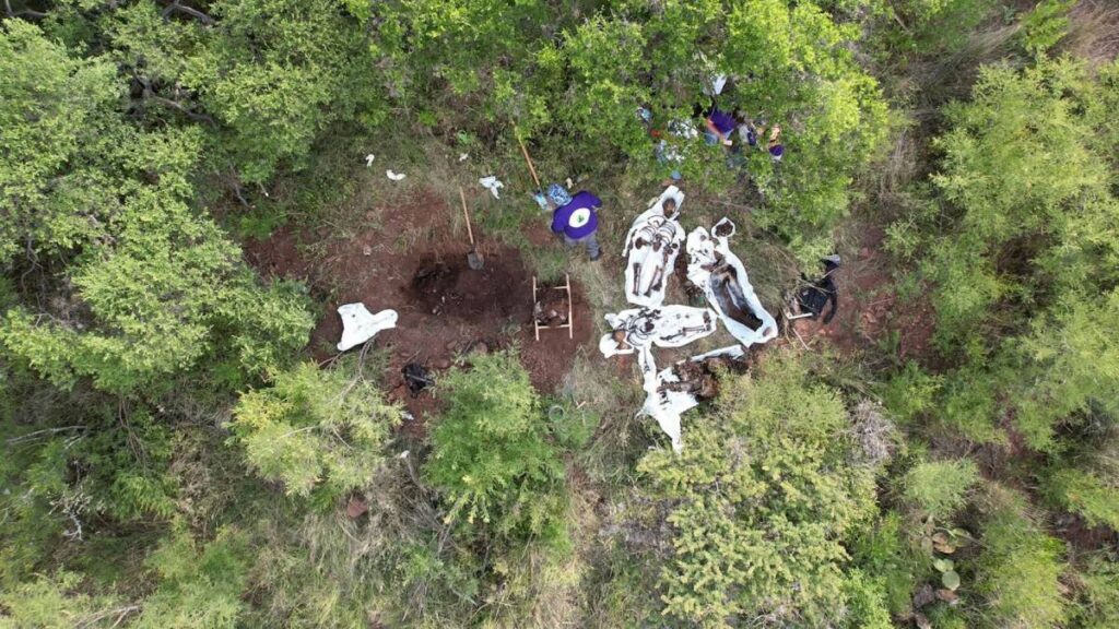 Autoridades buscan identificar a cuatro hombres y una mujer localizados en una fosa clandestina.
