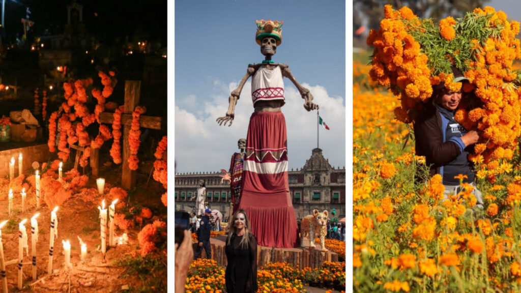 Los pétalos de cempasúchil forman caminos desde las entradas de las casas hasta las ofrendas en Día de Muertos, una tradición que permanece en distintas regiones de México.